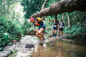 BIB: 
                            <button type="button" onclick="openModal(25369009)" class="btn btn-primary btn-sm float-right btn-popup" data-toggle="modal" data-target=".modal-high-quality">
                        <i class="fas fa-shopping-cart"></i> Add to Cart
                    </button>
                                            <button type="button" onclick="isThisMe(25369009, true)" class="btn btn-success btn-sm float-right btn-popup btn-isme hidden" data-toggle="tooltip" data-placement="bottom" title="นี่คือรูปของคุณใช่ไหม คลิกที่นี่เพื่อเอาเข้าอัลบั้ม">
                        <i class="fas fa-plus"></i> Add to album
                    </button>
                    <button type="button" onclick="isThisMe(25369009, false)" class="btn btn-warning btn-sm float-right btn-popup btn-isnotme hidden">
                        <i class="fas fa-ban"></i> Remove from album
                    </button>